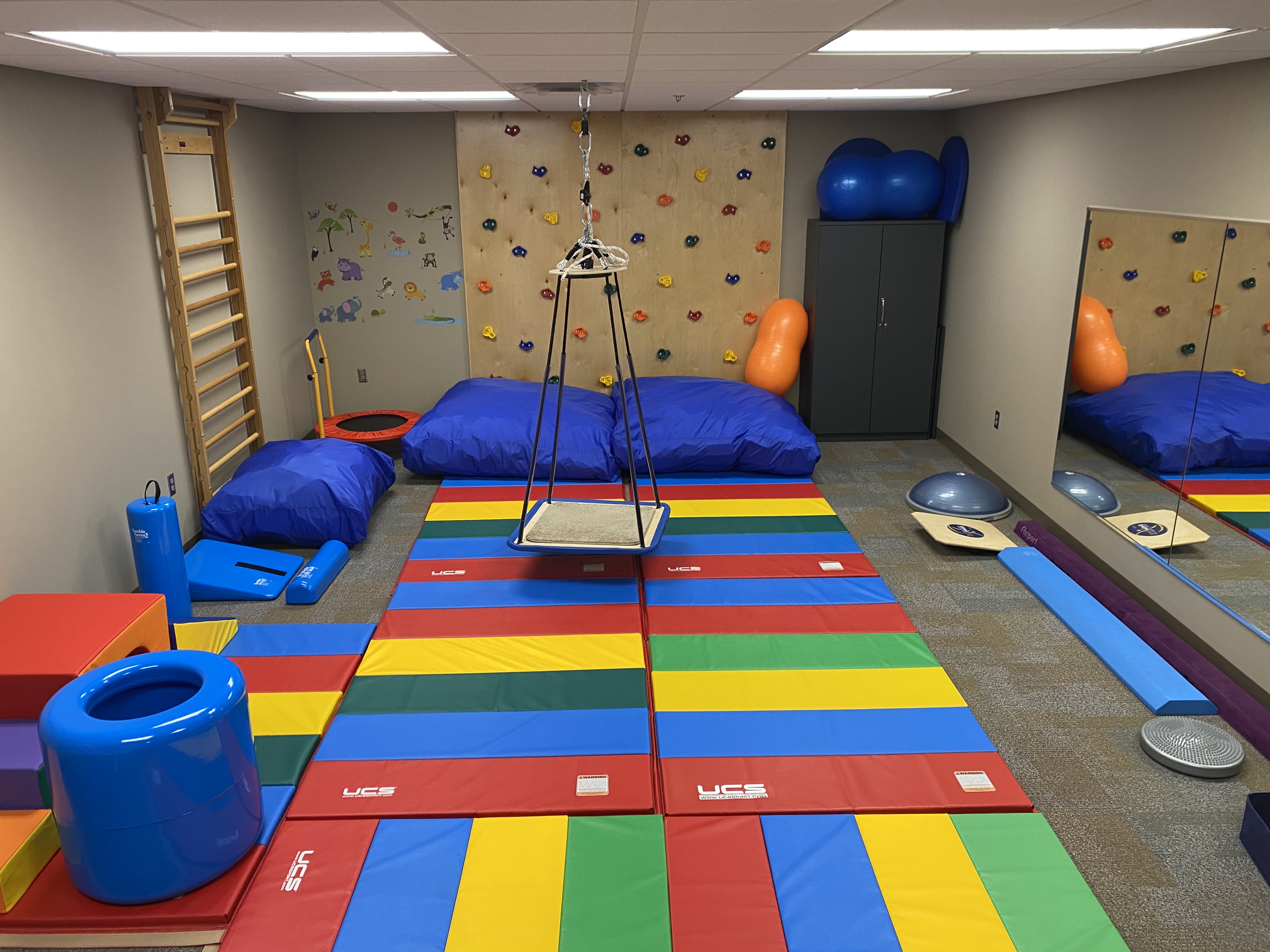 Chequamegon Peds PT Space