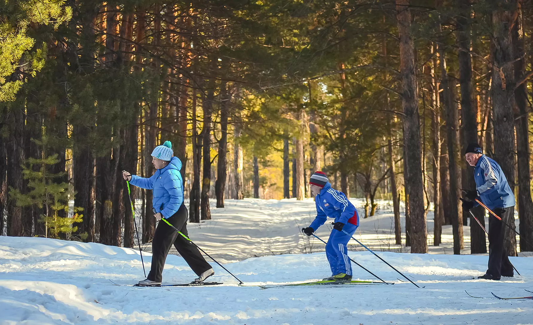 Лыжи Таллин. Лыжные прогулки по лесу. Лыжник в лесу. Катание на лыжах в лесу.