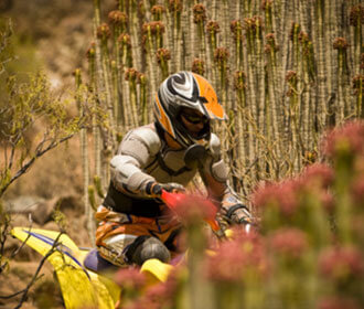 Person Riding An ATV Through Brush 