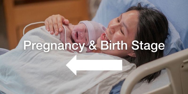pregancy and birth stage