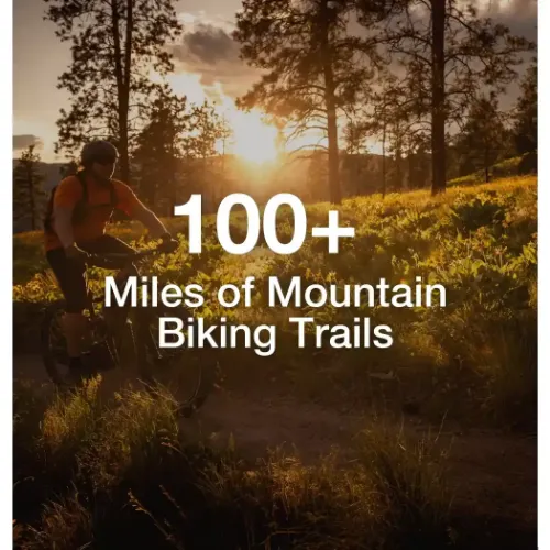 Mountain biking on Duluth trail with text overlay that says "100+ miles of mountain biking trails."