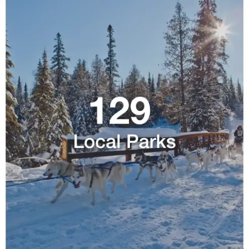 Sled dogs racing across bridge in Duluth with text overlay that says "129 local parks"